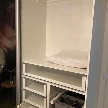 Viihtyisae Ja Rauhallinen Keskustan Tilava Kaksio アパート トゥルク
